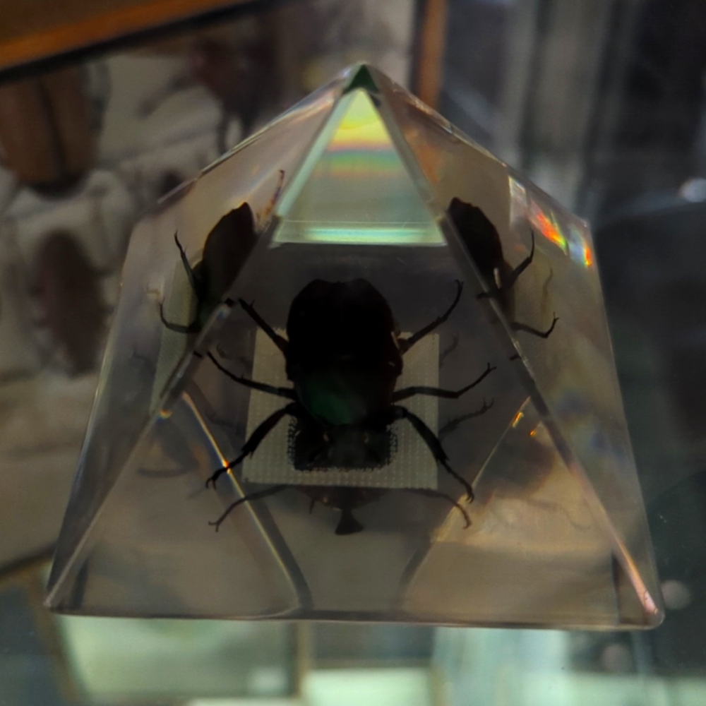 Scarab Pyramid - Picture 2 of 2